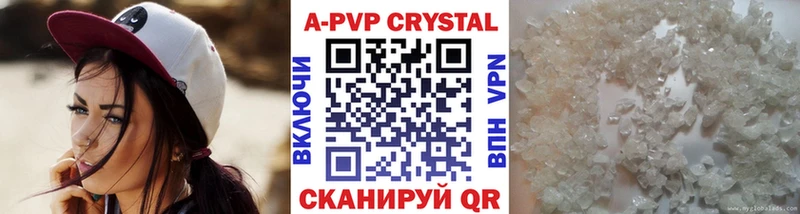 A-PVP СК  Великий Новгород 