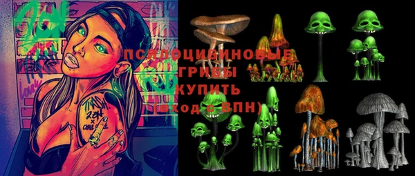 apvp Богородицк